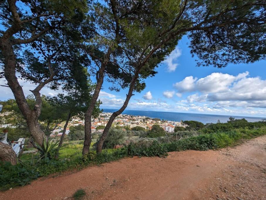 Vasiliki Studio, Beautiful New Built Appartement 10 Km To Airport Artemida  Exterior photo